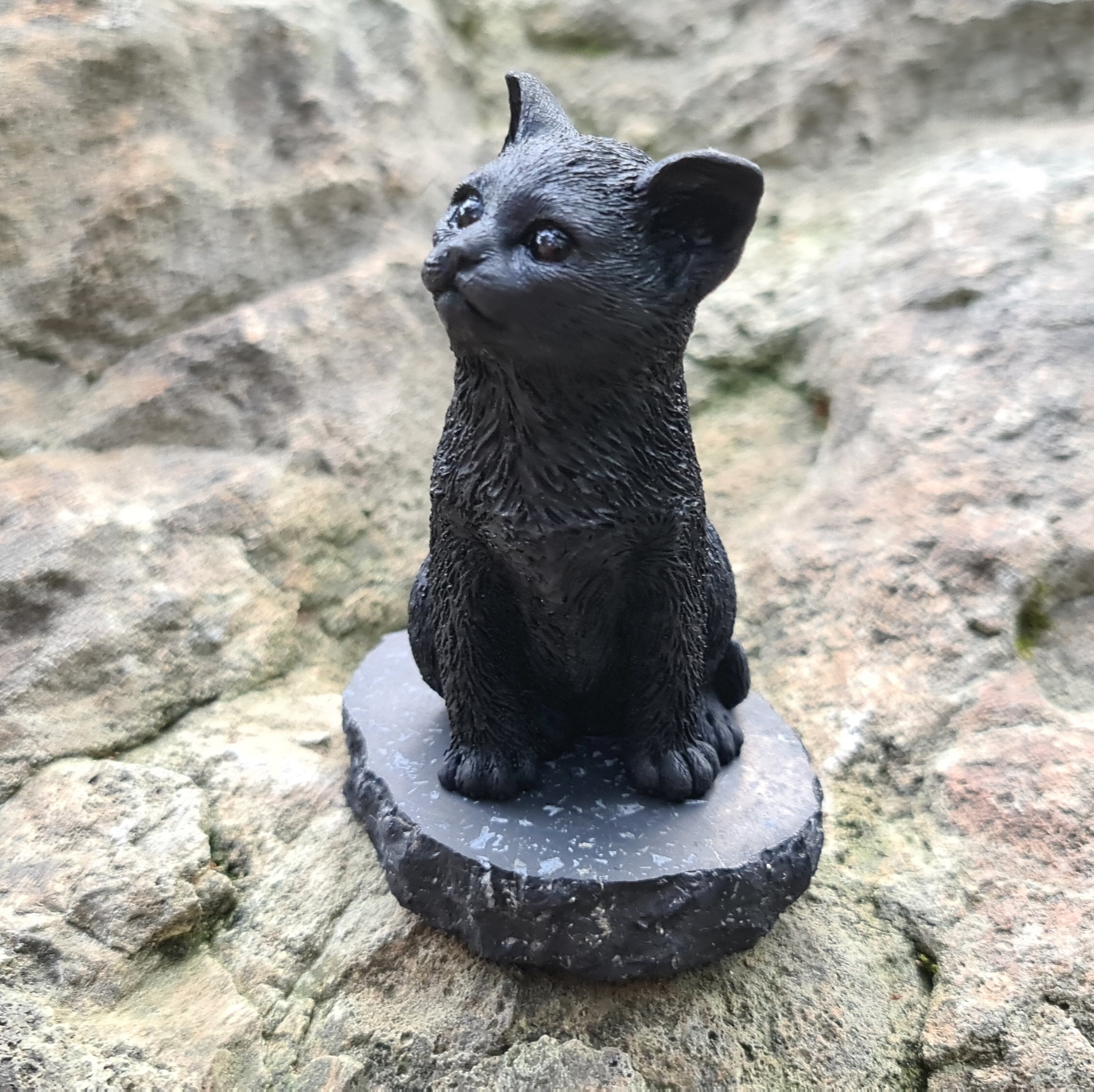 Котёнок