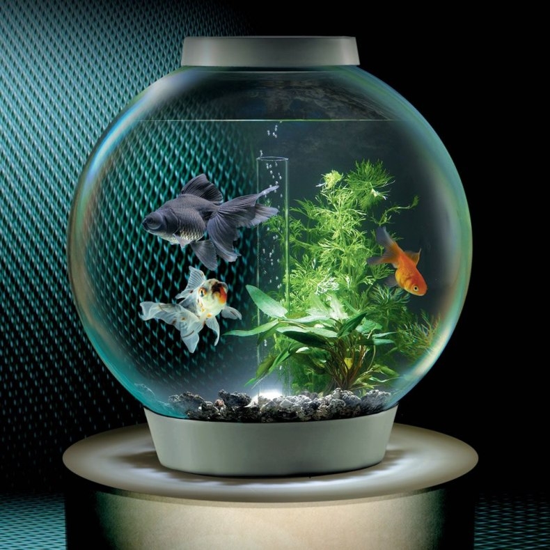 Шунгитовая крошка для аквариумов