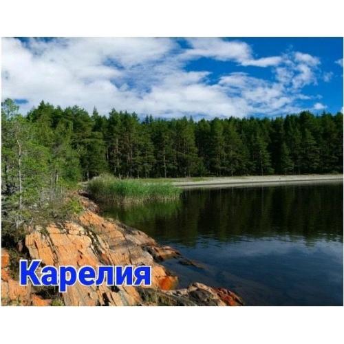 Шунгит на магните "КАРЕЛИЯ 4"