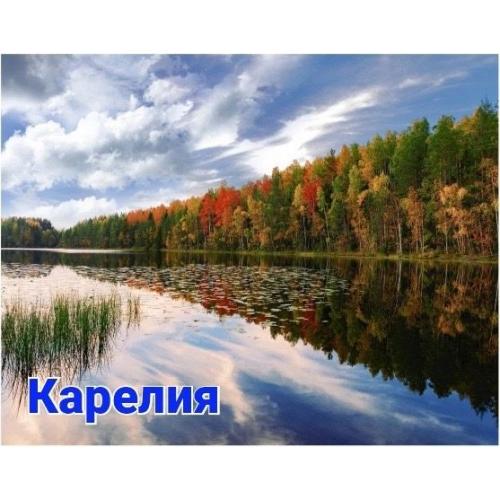 Шунгит на магните "КАРЕЛИЯ 4"