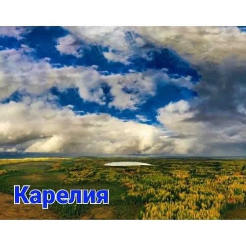 Шунгит на магните "КАРЕЛИЯ 4"